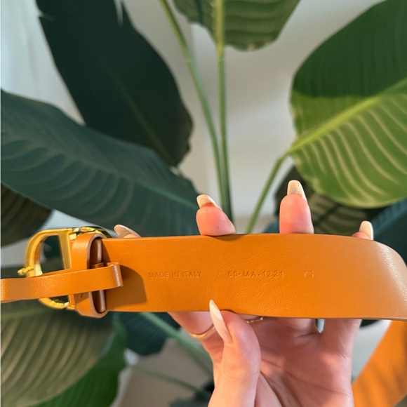 Dior 30 Montaigne Belt Light Brown Smooth Calfskin, 35 MM Size 75 -Gold Hardware - Picture 4 of 4